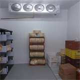 Câmara fria para congelamento pizzas prontas com painéis 150 mm e unidade condensadora carenada Fernando Prestes-Sp